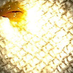 Credit Elf (Single Version)