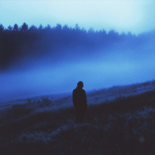 hidden within the pattern