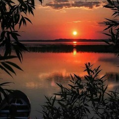 Still A Survivor Reggae Remix By DJ Rim Selekta