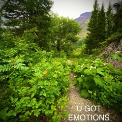 U GOT EMOTIONS