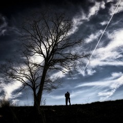 Maudlin Sunday - Peace