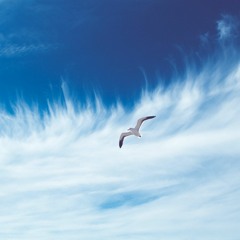 Courants ascendants (Updrafts)