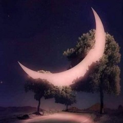 Por La Noche