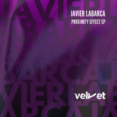 Javier Labarca - Wize