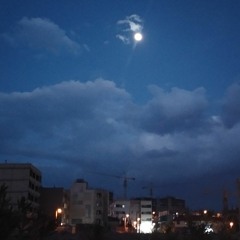 TreeP
