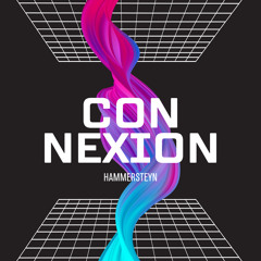 HAMMERSTEYN-Connexion