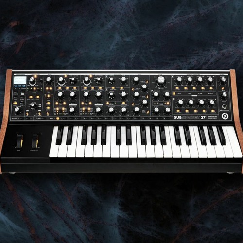Walk On The Moog