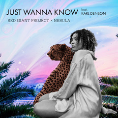 Just Wanna Know feat Nebula