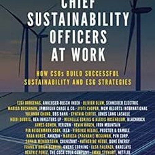 Get EPUB 📌 Chief Sustainability Officers At Work: How CSOs Build Successful Sustaina