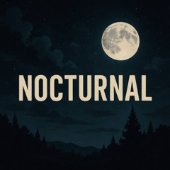 adam sellouk - nocturnal