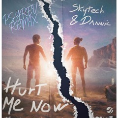 Dannic Ft Skytech - Hurt Me Now (PSYREV REMIX)