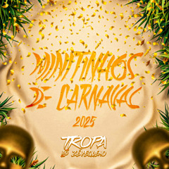 MINUTINHOS DE CARNAVAL 2025 (DJ HF DE NV) SÓ DE DESCONTRAÇÃO KKK