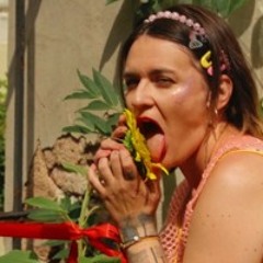 Smash The Patriarchy (by gardening)