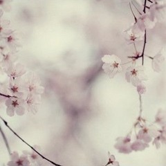 taetae - forgive (ikari)