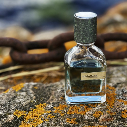 عمرو حسن   للمرة الأولى - لسه فاكر ؟