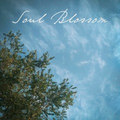 Soul Blossom (feat. Urakunov)