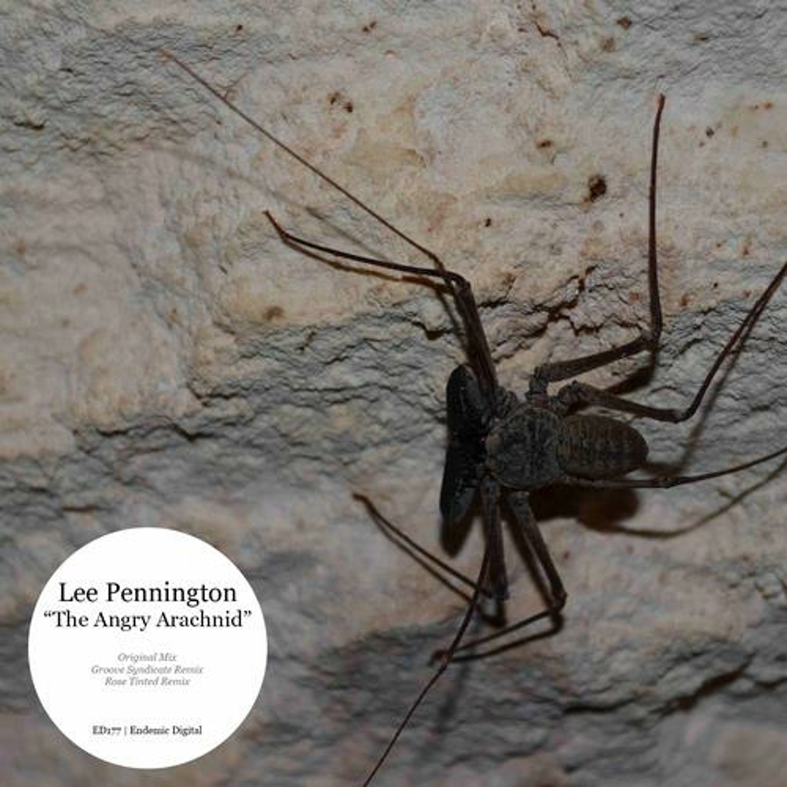 Lee Pennington / Section 75 / riffraff /