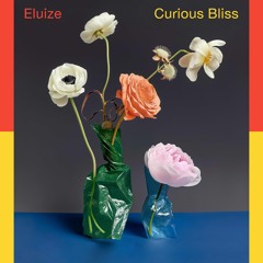 PREMIERE: Eluize - Sun Birds [Funnuvojere Records]