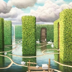 Sunn Flip 41 - Strawberry Fields
