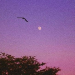 PRIME CREATION w/ zvk & vicci