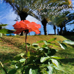 "Momentos com você" prod virgingod