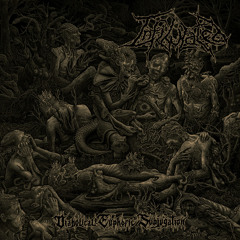 True Brutal Death Metal - 3