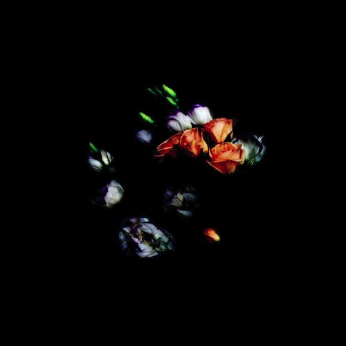 Shyqa – Regret (Ccontrary Remix)