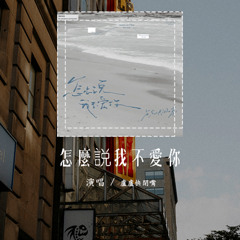 盧盧快閉嘴 - 怎麼説我不愛你 (原唱：蕭敬騰)「我要怎麼説我不愛你，我要怎麼做你才死心」(可轉伴奏和人聲視頻)【動態歌詞/pīn yīn gē cí】