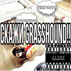 СКАЖИ GRASSHOUND!!