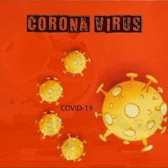 12. Corona Virus.mp3