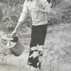 DAWN MELODIES NOVEMBER @RELATIVA RADIO