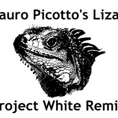 Mauro Picotto - Lizard (lets do it again) Project White remix