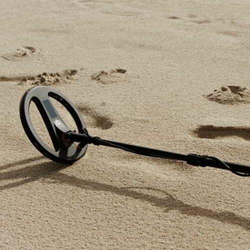 Found Something Strange In The Desert