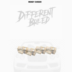Money chaser - DIFFERENT BREED