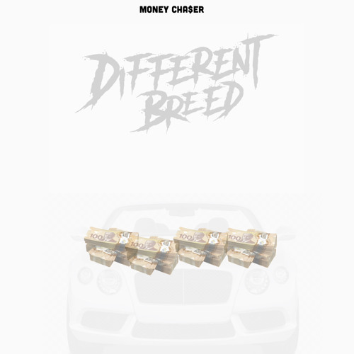 Money chaser - DIFFERENT BREED