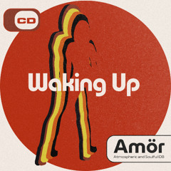 Waking Up