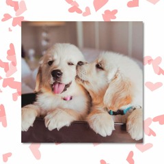 Puppy Love- Lease at ToneJonez.com