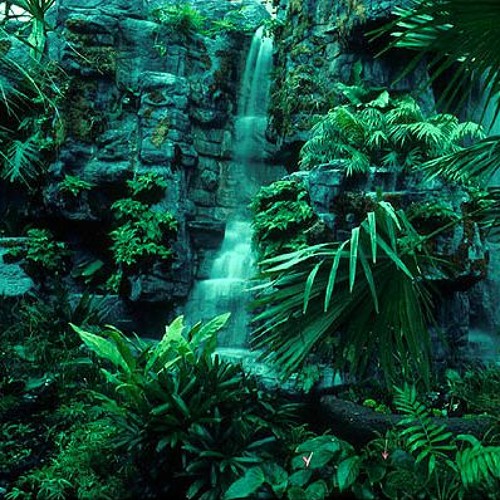 Wicked, Wild & Well Versatile mixed by DJ Spitfire