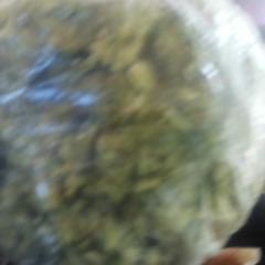 hype man green ft. Slim Teagle -Stupid fruity woo wee.mp3