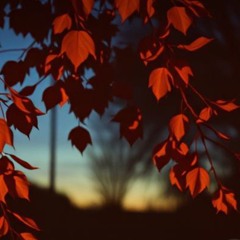 October slips through the window.