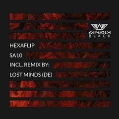 Hexaflip - SA10 (Lost Minds Remix)