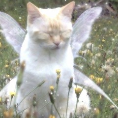 пятно (𝐬𝐥𝐨𝐰𝐞𝐝)