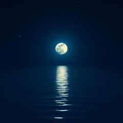 "Silent Light (Тихий свет")