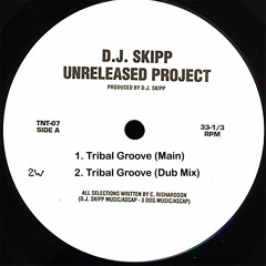 DJ SKIPP UNRP - Tribal Groove (Main)