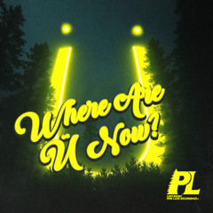 Jack Ü - Where Are Ü Now (KING KOZZ FLIP)