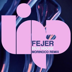 Fejer - 0530 House (Morinoco Remix)