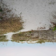 5 Tree Ate