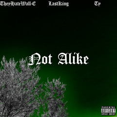 Not Alike (Ft. TheyHateWall-E x Ty)