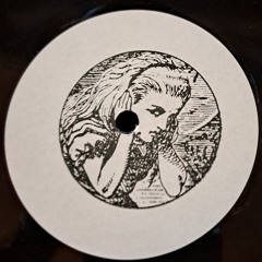 Robi SUSS - Dissolusion (Out On Disturbo Vinyl Resistance Series)