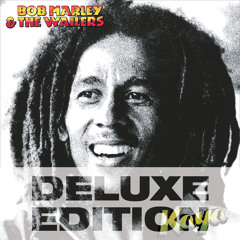 Reggae Dub - part 3